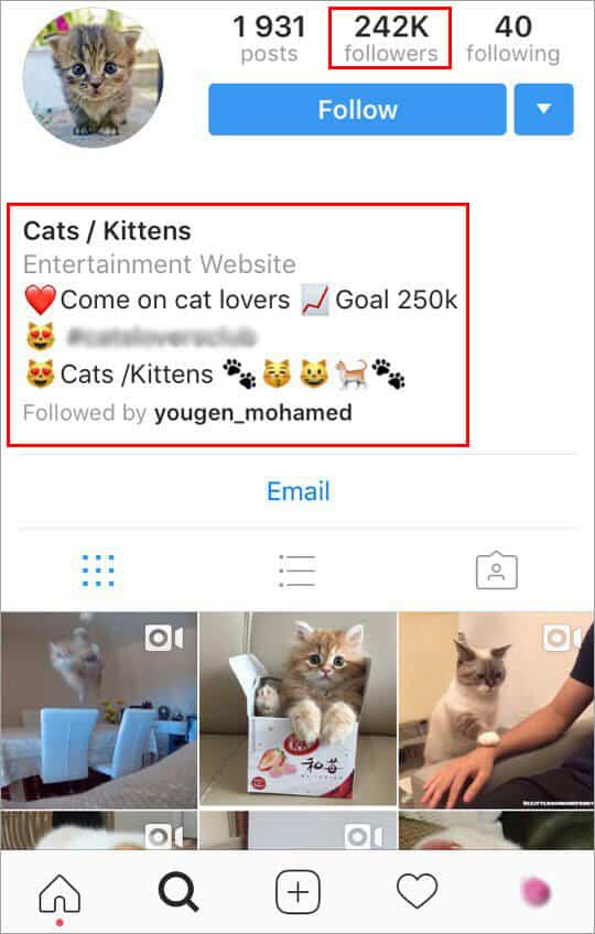 info about Instagram profile
